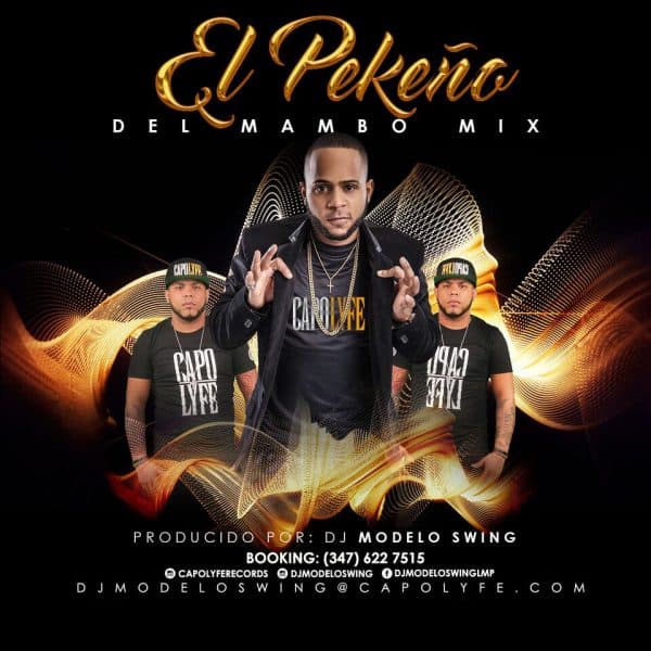 El Pekeno Mini Mix June 2016