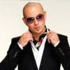 Pitbull