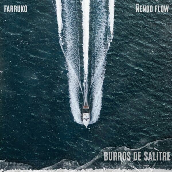 Burros de Salitre