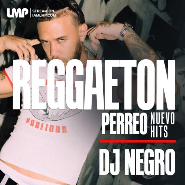 Reggaeton Mix October 2024